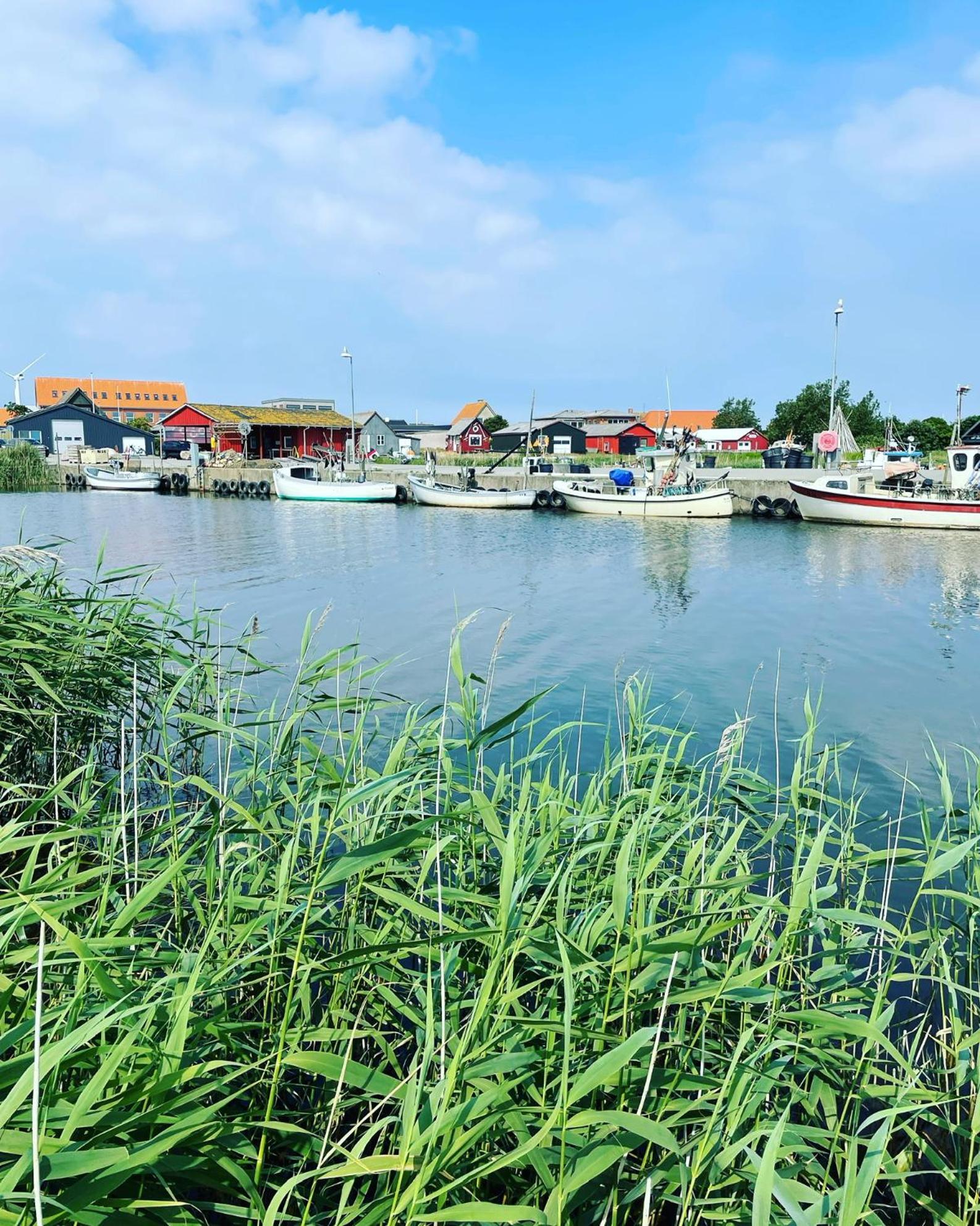 Harbour Living Villa Hvide Sande Exterior photo